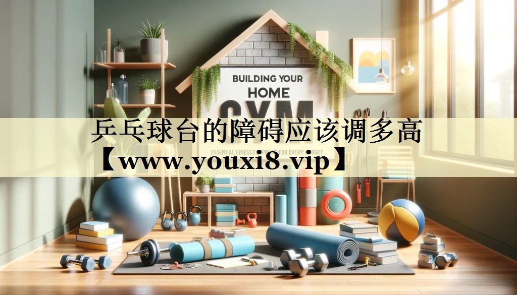 乒乓球臺的障礙應(yīng)該調(diào)多高 乒乓球臺的障礙應(yīng)該調(diào)多高