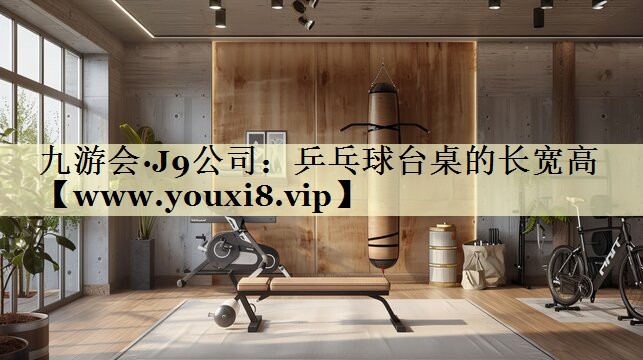 乒乓球臺桌的長寬高 乒乓球臺桌的長寬高