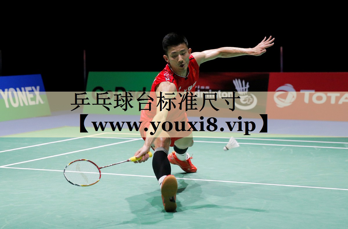 乒乓球臺標(biāo)準(zhǔn)尺寸 乒乓球臺標(biāo)準(zhǔn)尺寸