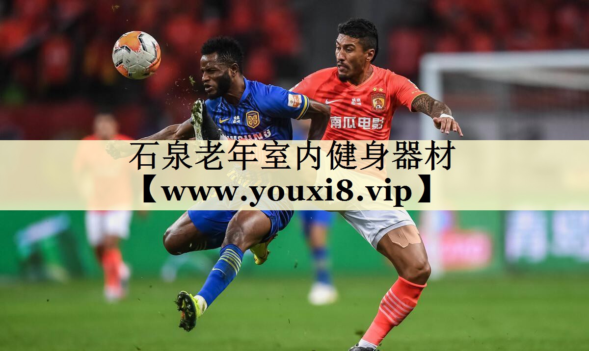 石泉老年室內(nèi)健身器材 石泉老年室內(nèi)健身器材