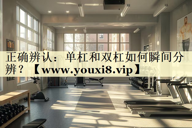 正確辨認(rèn)：?jiǎn)胃芎碗p杠如何瞬間分辨？