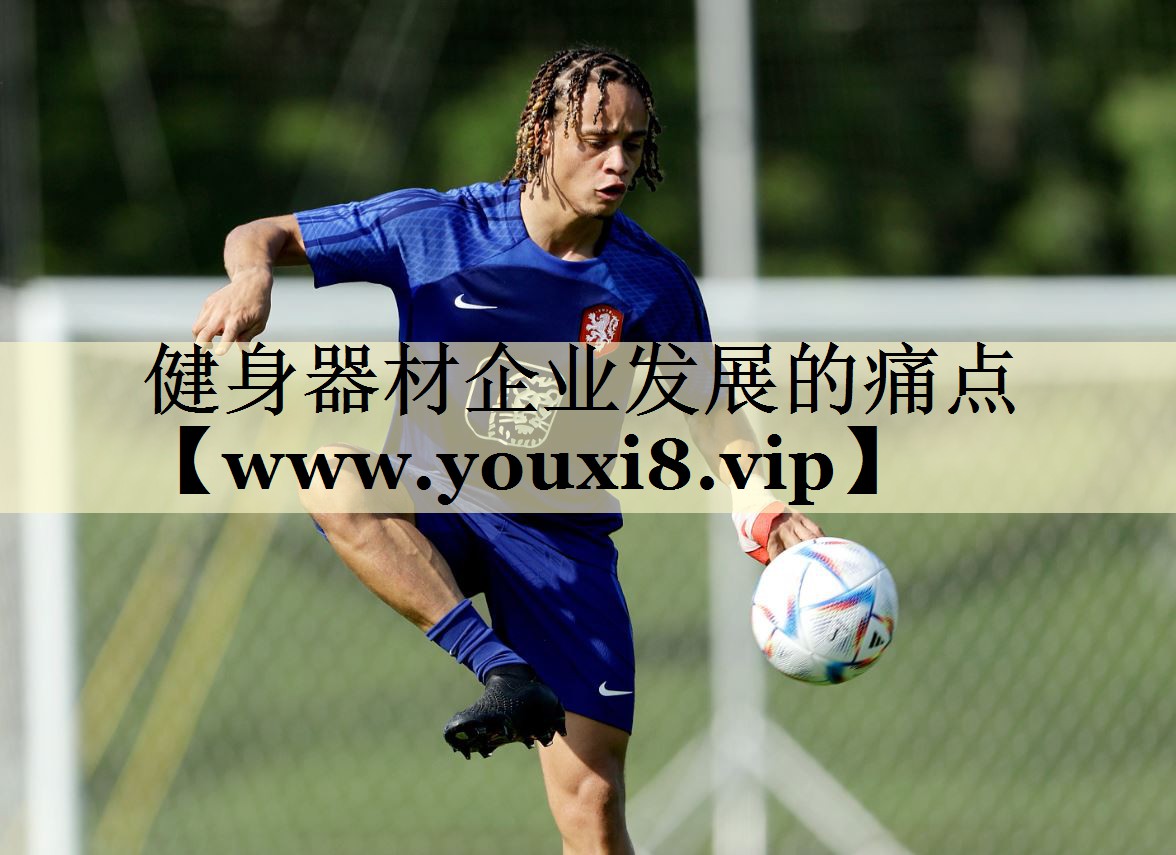 健身器材企業(yè)發(fā)展的痛點(diǎn) 健身器材企業(yè)發(fā)展的痛點(diǎn)