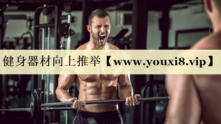 健身器材向上推舉 健身器材向上推舉